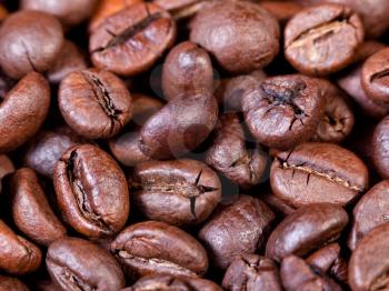 background from dark roasted coffee beans close up