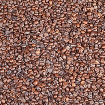 background from many dark roasted coffee beans