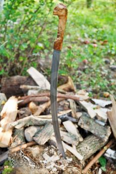 cossack saber and outdoor splitted log in peacetime