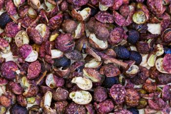 background from dried seeds of spicy Sichuan pepper close up