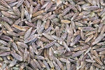 background from dried cumin seeds close up