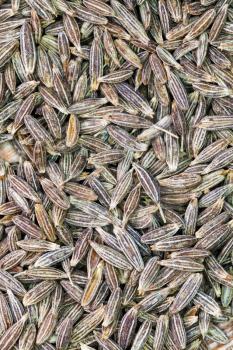 background from dried spicy cumin seeds close up