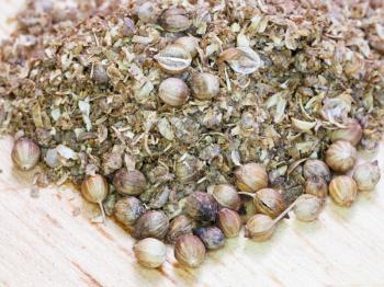 ground spicy coriander seeds close up