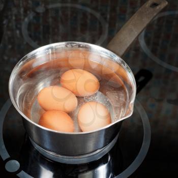 hen eggs are cooked in metal pot on electric stove in kitchen