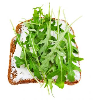 top view of sandwich from rye bread, soft cheese and fresh arugula isolated on white background
