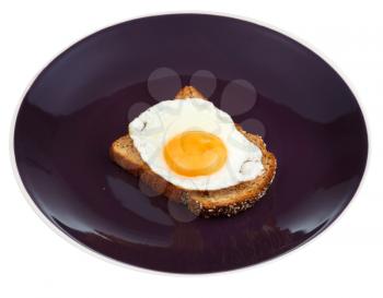 sandwich from fried egg and toasted rye bread on plate isolated on white background