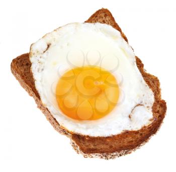 sandwich from fried egg and toasted rye bread close up isolated on white background