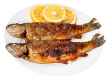 two fried river trout fishes on plate isolated on white background