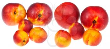 set of red and yellow ripe nectarines isolated on white background