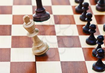 Black King knocking the white king on chess board