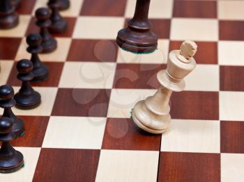 Black King knocks white king on chess board