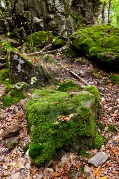 moss-grown boulders of Rock Devil finger - landmark in shapsugskaya anomalous zone in caucasus mountains