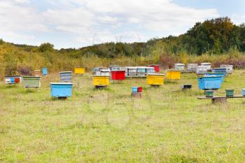 multicolored wooden beehives at clearing in caucasus mountain