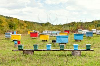 apiary at clearing in caucasus mountain