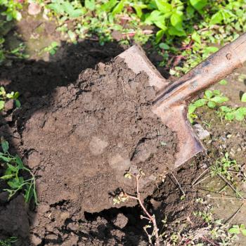 digging up garden ground with spade