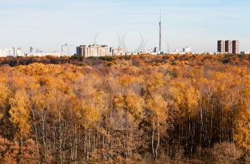 autumn view of TV tower, houses and yellow trees in Moscow in sunny day