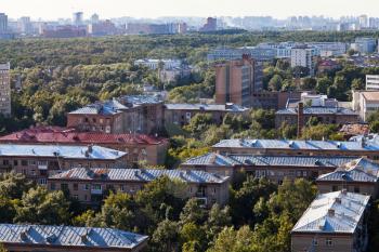 above view of green urban park in Moscow