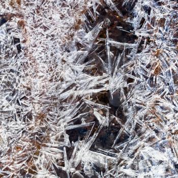 ice crystals under frozen stream in spring forest