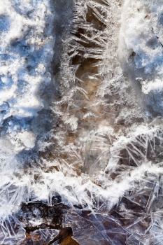 frozen ice crystals under melting snow stream in spring forest