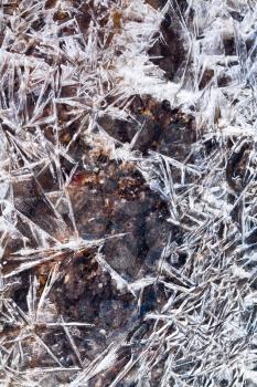 natural ice crystals over frozen stream close up