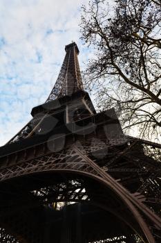 eiffel tower and tree branches in Paris in spring