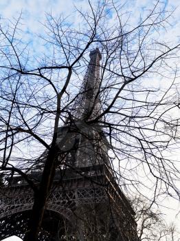 eiffel tower and bare tree in Paris in spring