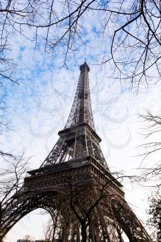 eiffel tower and tree branches in Paris in spring