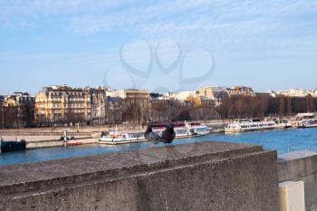 doves on stone parapet of Seine embankment in Paris in spring