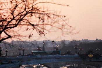 view of pont alexandre iii in Paris on sunset