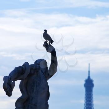 dove, antique statue in Tuileries garden and Eiffel Tower in Paris with blue sunset