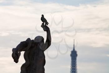 dove, antique statue in Tuileries garden and Eiffel Tower in Paris on sunset