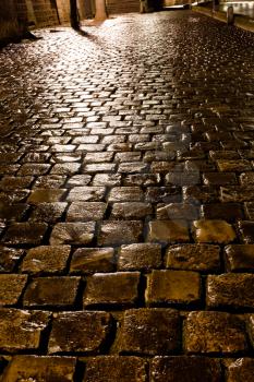 rainy wet cobblestone paved quay in Paris at night