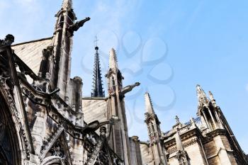 gargoyles of Notre Dame in Paris