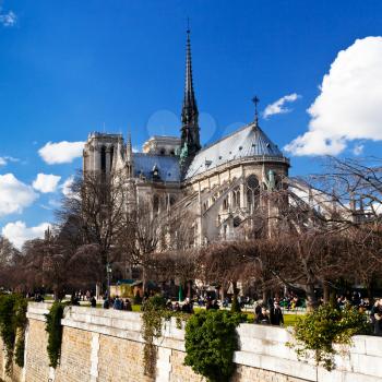 cathedral Notre-Dame de Paris in spring