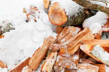 chopped alder fire wood in winter snow outdoor