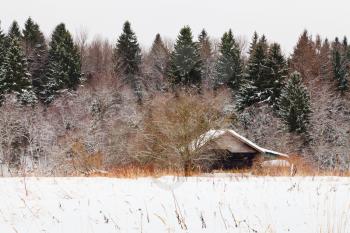low wooden house on edge of snowed forest in cold winter day