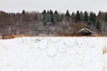 old house on edge of snowed forest in cold winter day