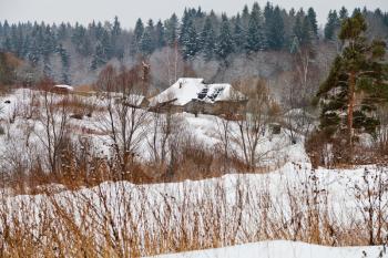 panorama of snow covered village on margin of a spruce forest on a winter day