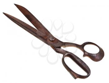 old tailor shears isolated on white background