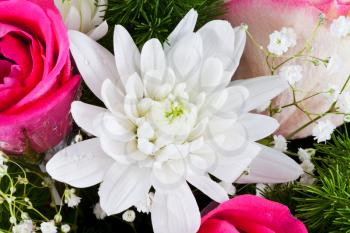 white chrysanth in flower bouquet with pink roses