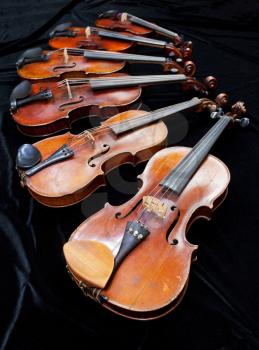 family of different sized fiddles on black velvet close up