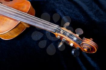fiddle pegbox on black velvet background close up
