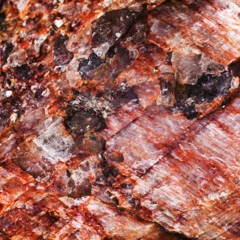 macro view background from pink rock stone with crystalline inclusions