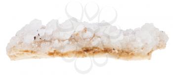 crust of sea salt from Dead Sea close up isolated on white background