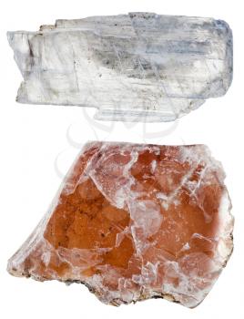 specimens of Muscovite mica isolated on white background