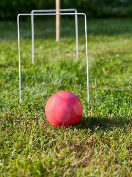 red ball ib game of croquet on green lawn in summer day