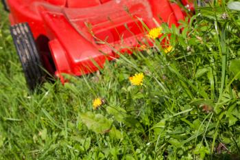 green grass and red lawn mower in summer day