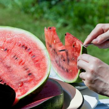 eating watermelon outdoors on a sunny day