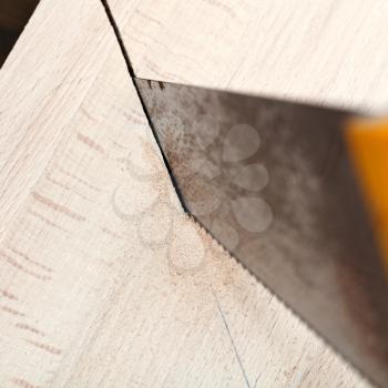 wooden plank is cut with hacksaw close up