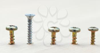 different kind screws wrapped in wooden plank close up